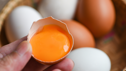 What the Color of an Egg Yolk Does (and Doesn't) Tell You