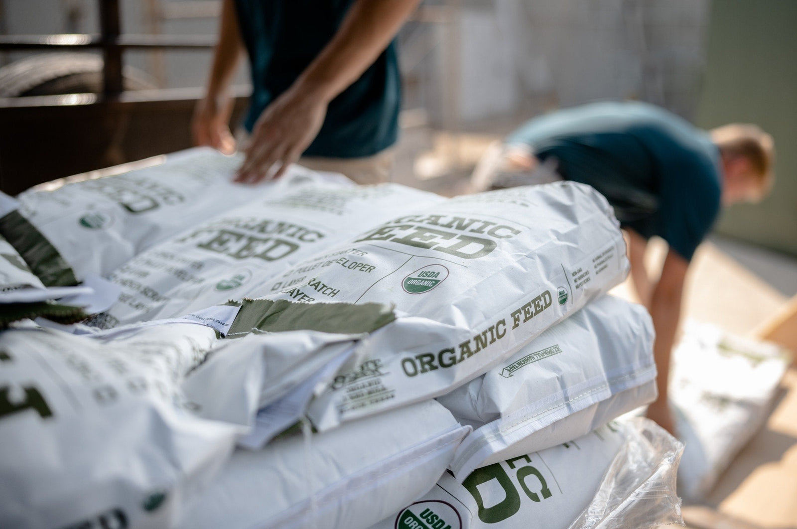 Coyote Creek Organic Feed Mill & Farm Store photo 6