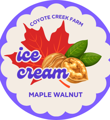 Ice Cream - Maple Walnut