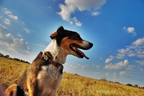 Coyote Creek Organic Feed Mill & Farm Store photo 12