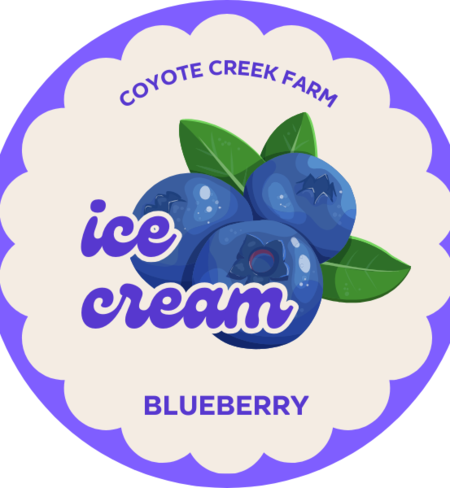 Ice Cream - Blueberry