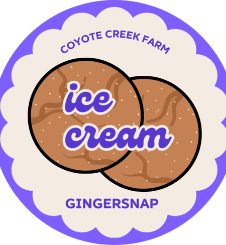 Ice Cream - Gingersnap