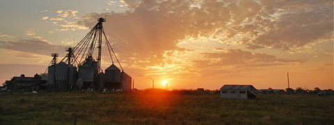 About Coyote Creek Farm