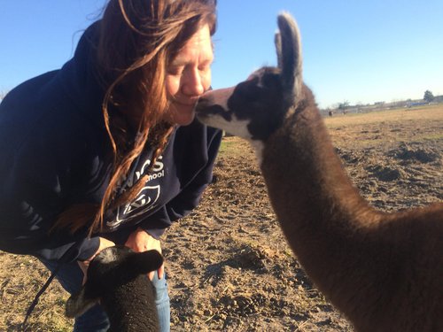 Coyote Creek Organic Feed Mill & Farm Store photo 24