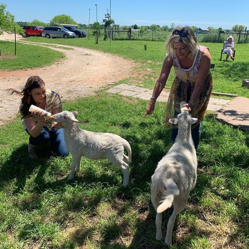 Coyote Creek Organic Feed Mill & Farm Store